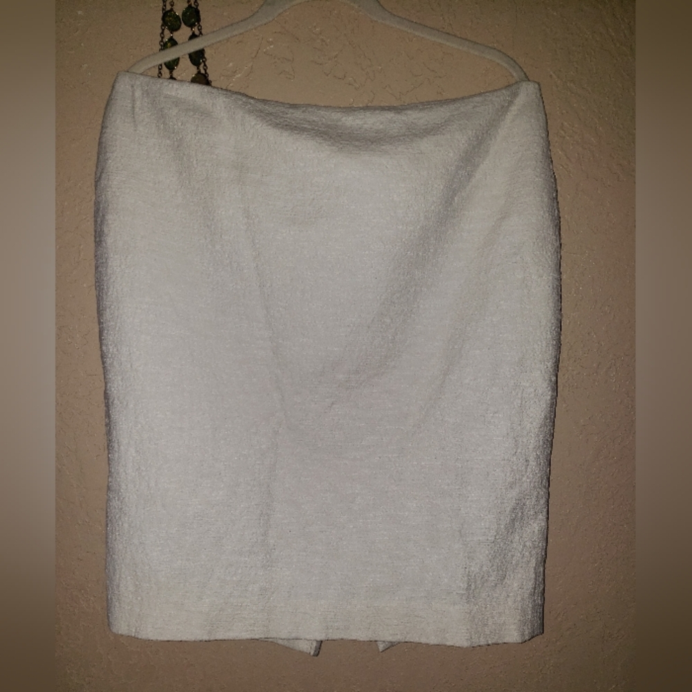 Ann Taylor Skirt